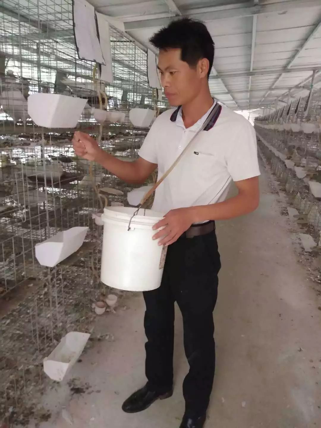 为带领农村致富的年轻人点赞,返乡创业养家禽带动村民脱了贫