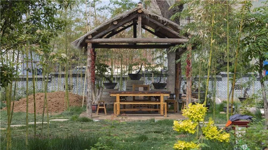 院中园,园中园农家饭庄