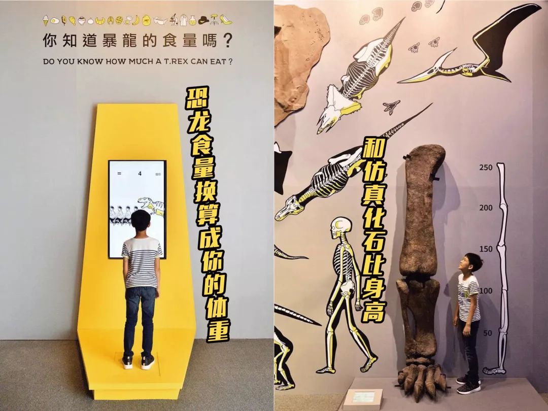 新店开业10w人围观,开业典礼1万人围观