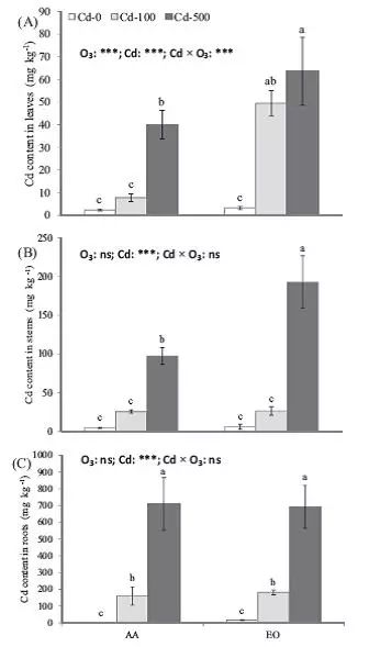 臭氧对植物的危害的浓度,臭氧对人类和环境的影响