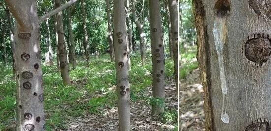 内调养颜原来真的很重要,内调有多重要