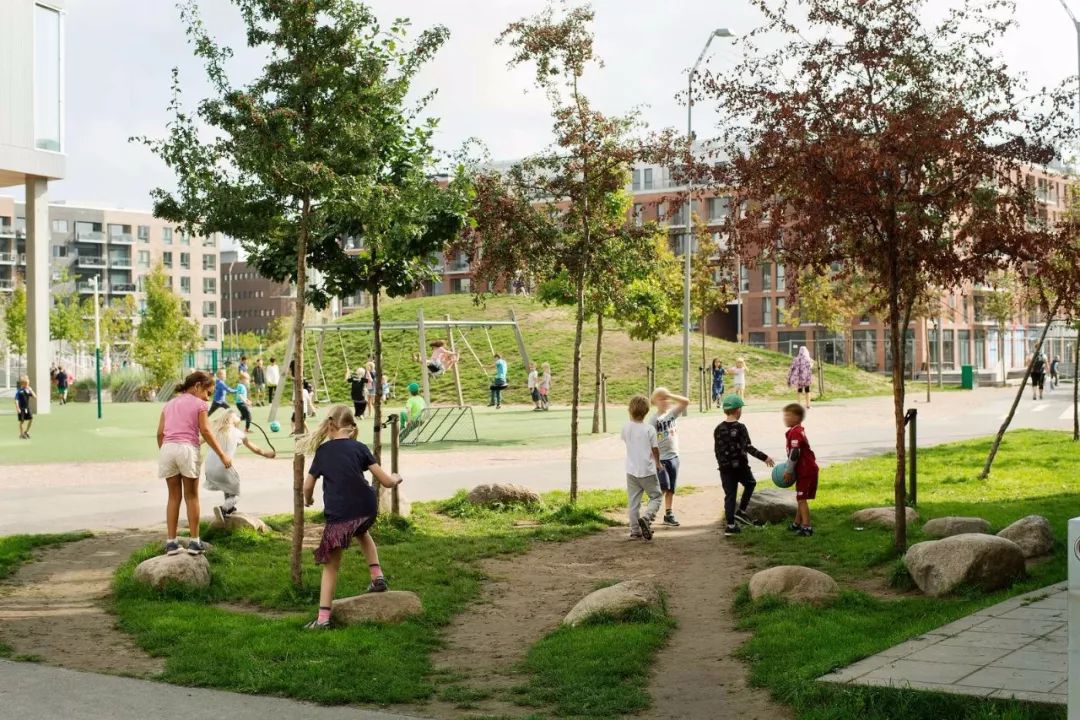 成天让娃在外面玩,丹麦教育为啥还能世界领先