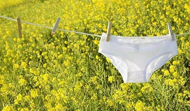 一条紧身裤引发的惨案电视剧,一条紧身裤引发的惨案什么剧