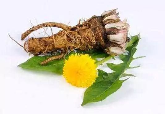 小满应季吃什么,南方小满吃什么