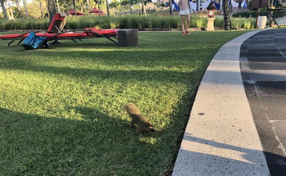 巴厘岛clubmed是什么,巴厘岛clubmed海滩