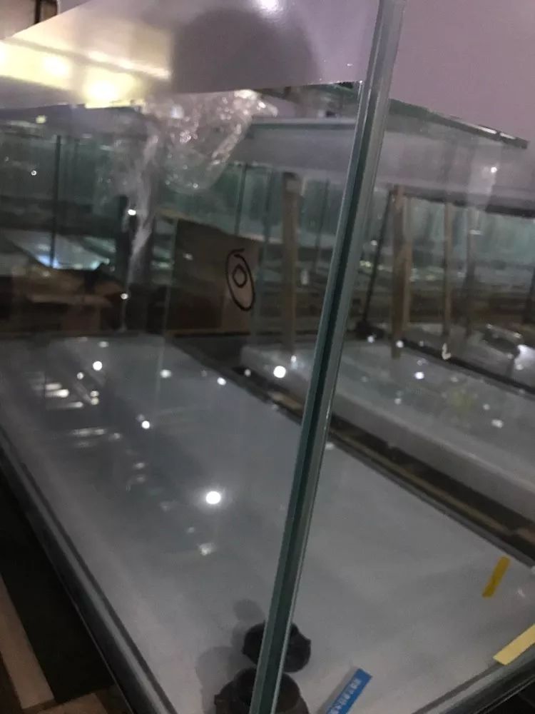 鱼缸生产制造过程,探秘jellycat工厂