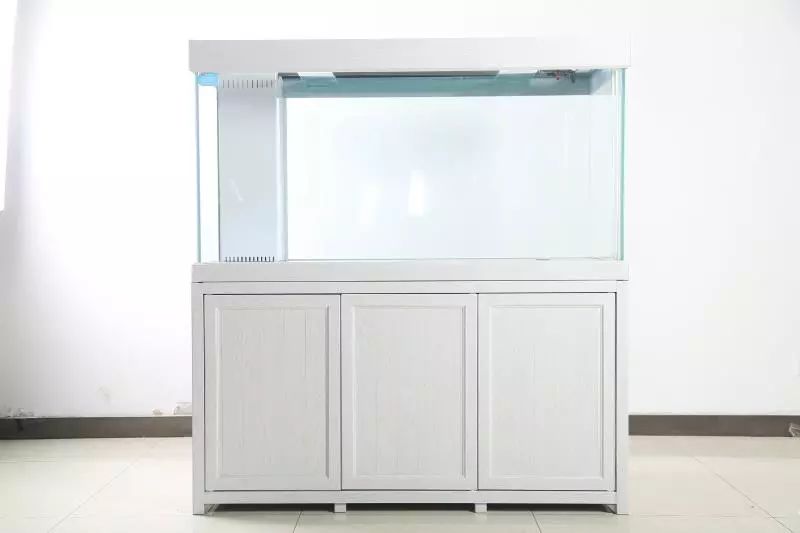 鱼缸生产制造过程,探秘jellycat工厂