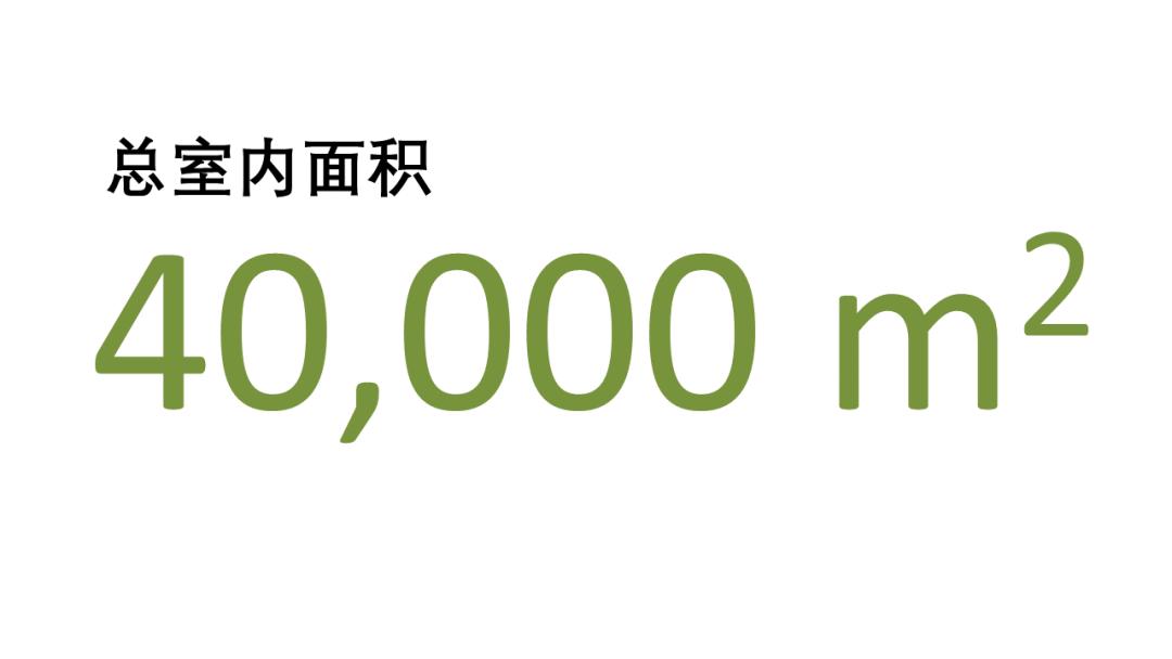 大学室内轮滑场,北京室内旱冰轮滑场