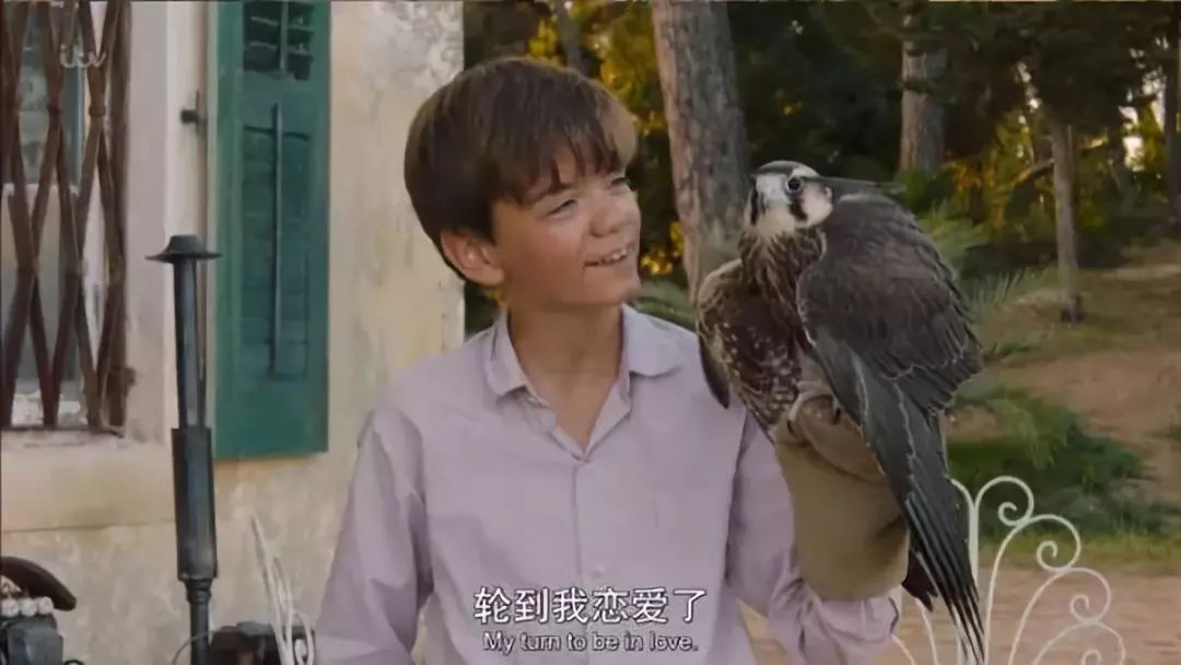 豆瓣9.8,1个寡妇带4个熊孩子,为啥都过得比我爽?