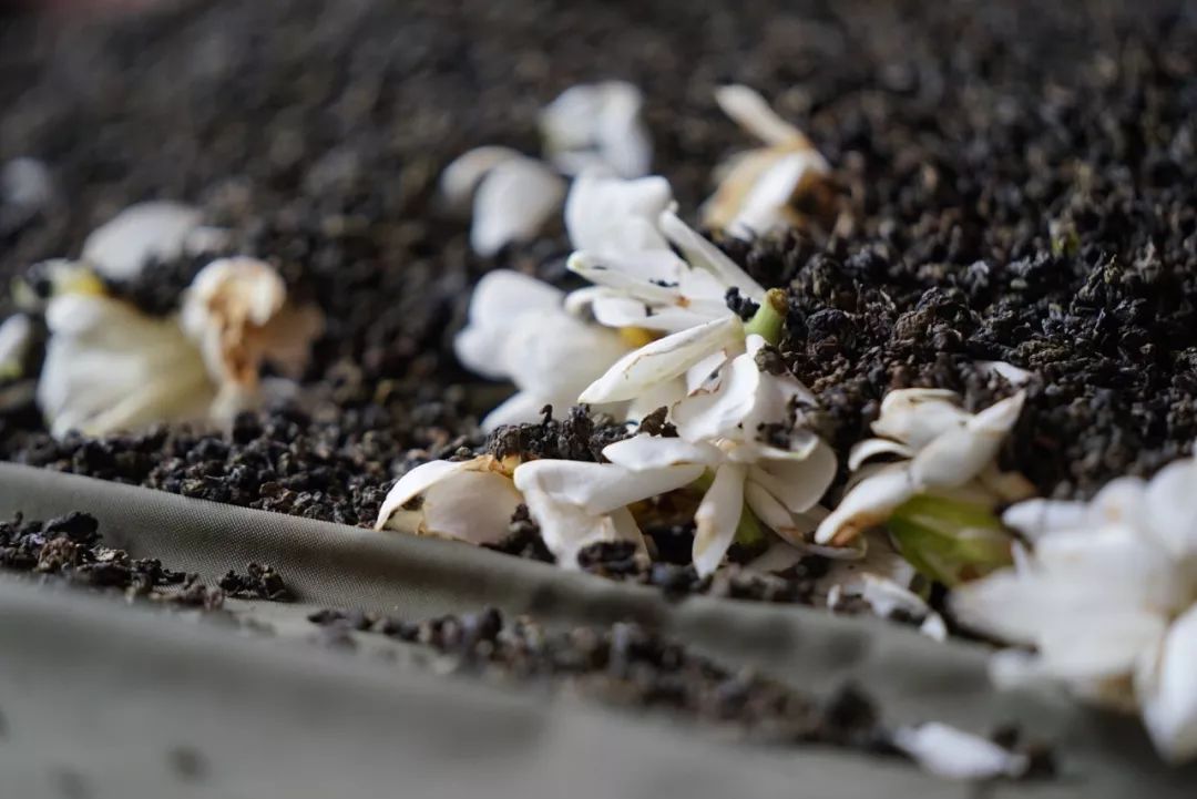 五月种草美食,五月种草的护肤品