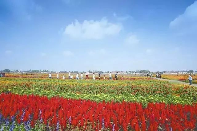 江油入围天府旅游名县,2021县域旅游百强潜力江油