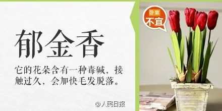 碰一下就会中毒的物质有哪些,被误食的致命毒物