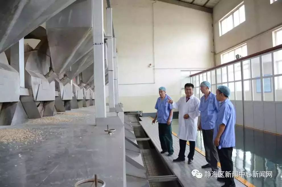 静海区绿化工程,高质量推进生态绿化建设