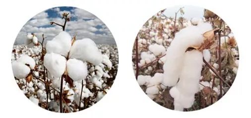 婴幼儿可用夏凉被，0甲醛，裸睡盖它更放心