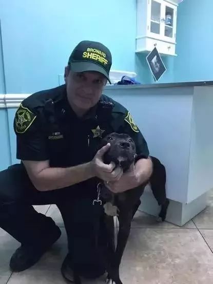 闻毒品气味算吸毒吗,缉毒犬闻毒