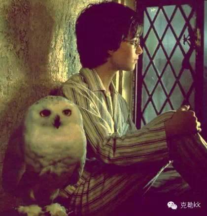 我承认，这篇文章是穿着睡衣写的|团购