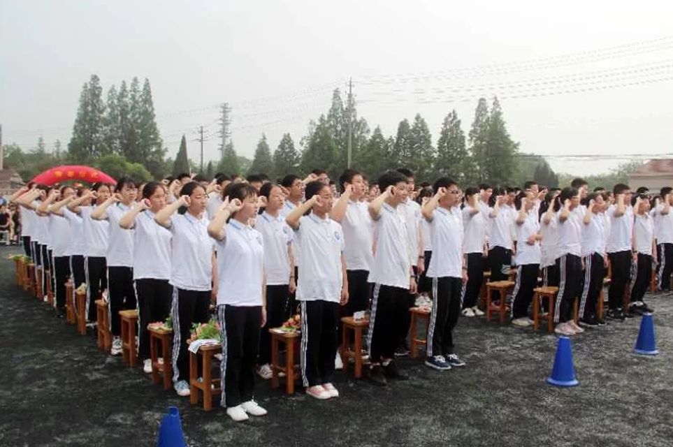 附新北各学校施教区一览表|一场“亲密接触”,发生在五所新北中小学内...