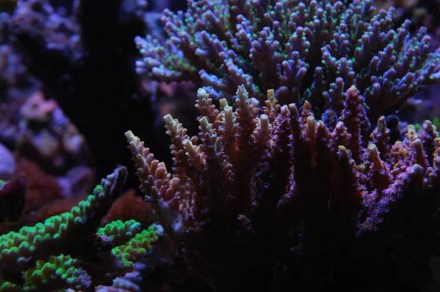 鉴定完毕！这一定是个有钱的主儿