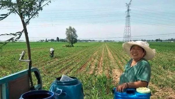 怎样清洗喷过玉米除草剂的喷雾器,如何清洗打过草甘膦的喷雾器