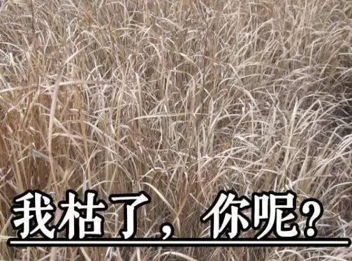 饮水机会不会自燃起火,饮水机引起火灾的原因