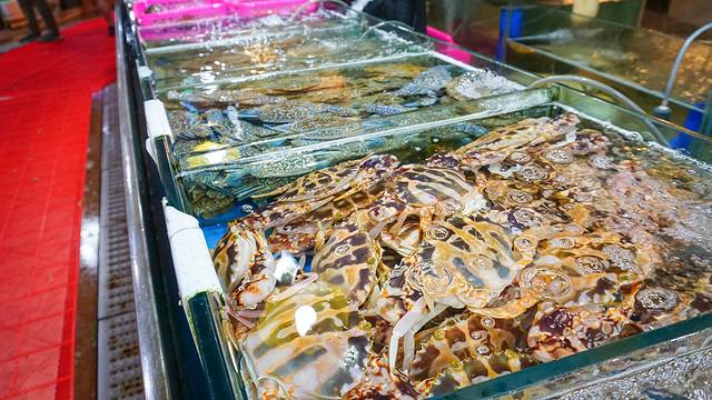 夏威夷之旅蔚蓝色的海,东方夏威夷海洋之心