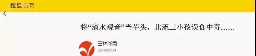 碰一下就中毒的动物,碰一下都能中毒的东西