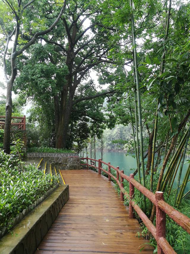 肇庆七星岩鼎湖山自助游,肇庆鼎湖山和七星岩相距多远