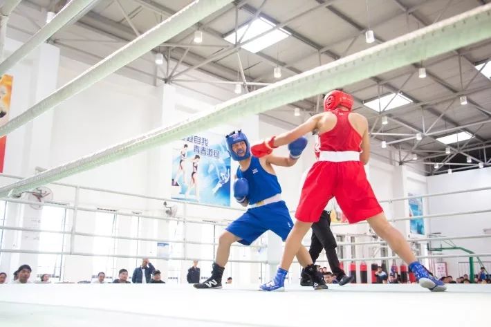 青浦区青少年活动中心招生简章,青浦区2024青少年运动队