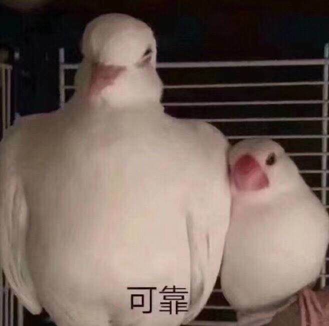 大s活得有多奢侈,大s看起来胖是真胖吗