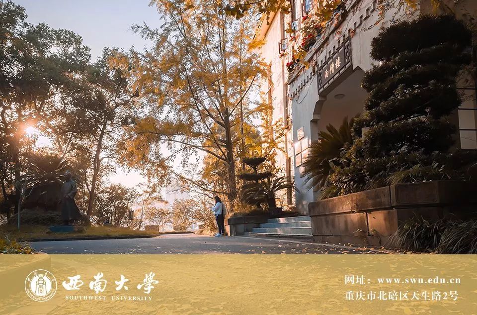 我们又双叒叕夺冠了,我们又双叒叕获奖了