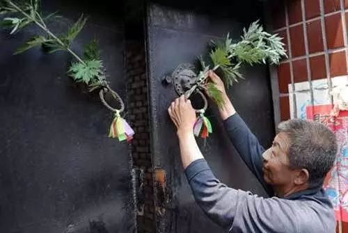 端午节门上插艾的寓意是什么,端午节为什么要插艾草