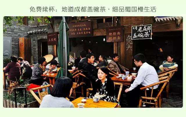 大熊猫铲屎官,都江堰熊猫谷铲屎官报名