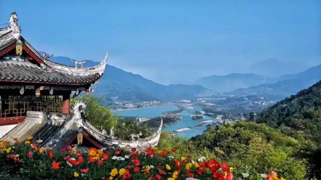 都江堰熊猫谷铲屎官报名,成都大熊猫铲屎官志愿者活动