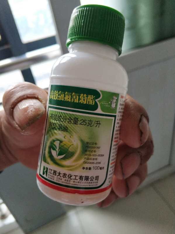 农妇打农药,农妇打药