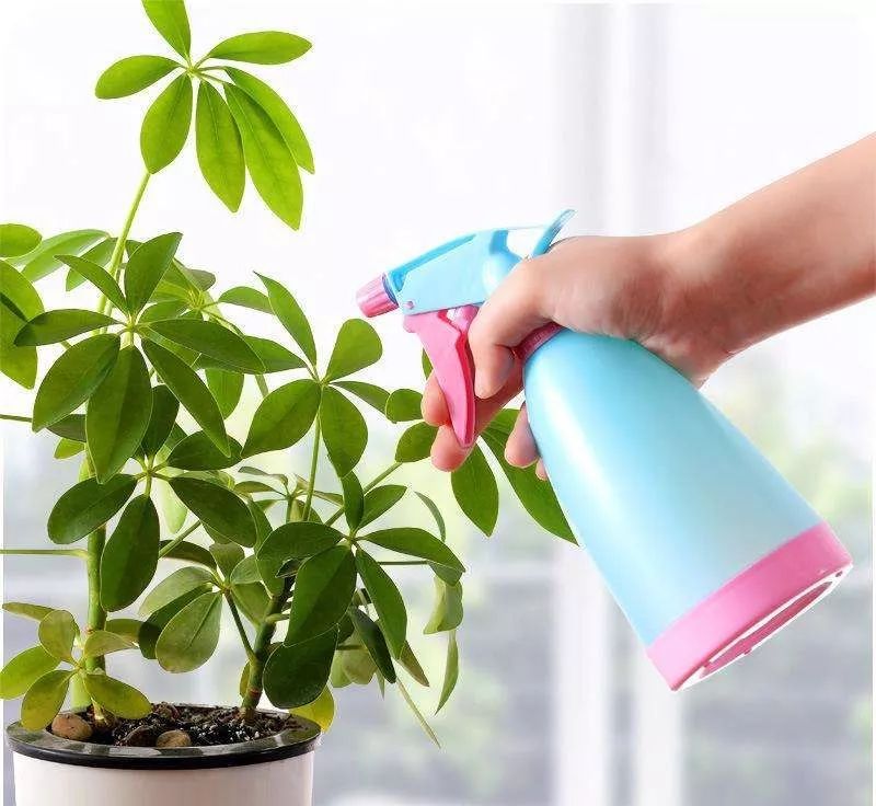 天太热怎么给花降温,天太热给花花草草浇水