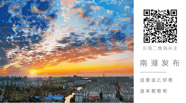 上海青少年校园足球特色学校,大桥初中喜报