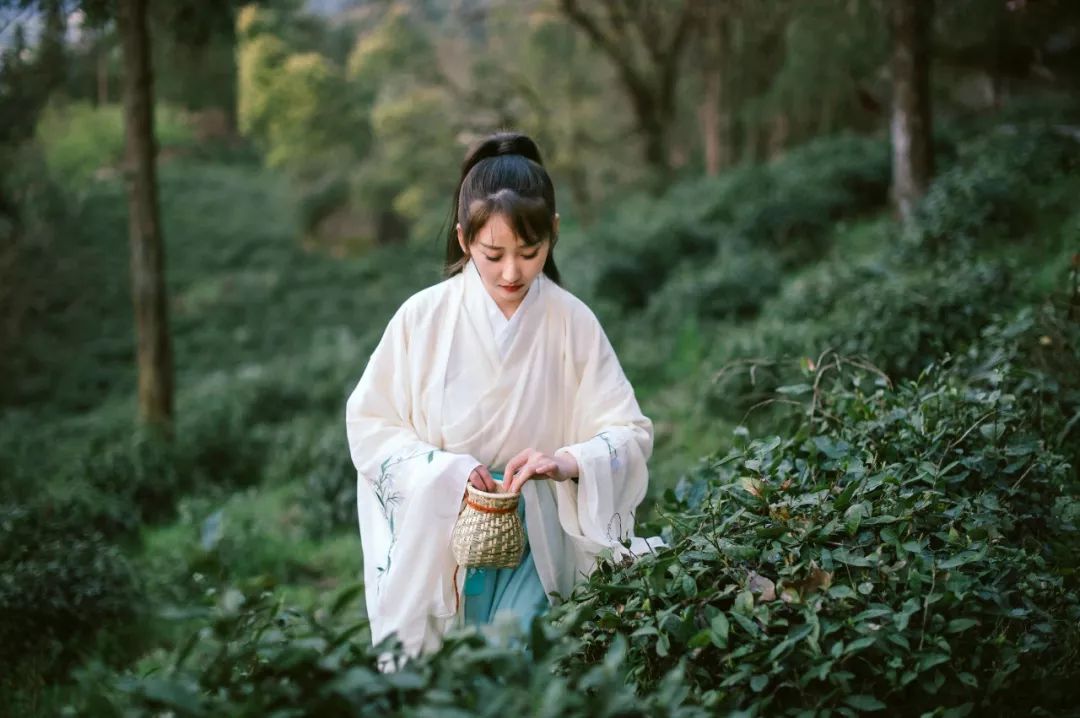 成都五一露营星空云海,云海五一旅游攻略最新