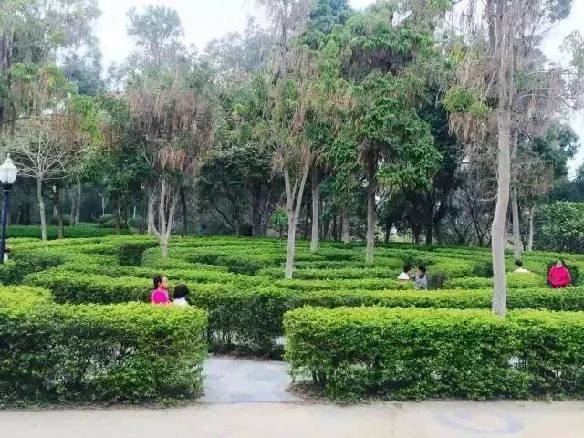 厦门推荐带娃好玩的地方,厦门溜娃免费景点