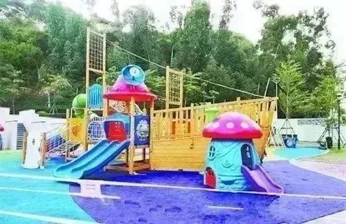 厦门推荐带娃好玩的地方,厦门溜娃免费景点