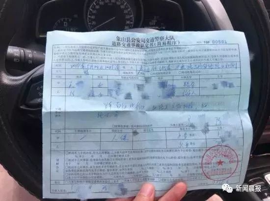 女子开车撞狗怎么判,女子驾车撞狗被判主责