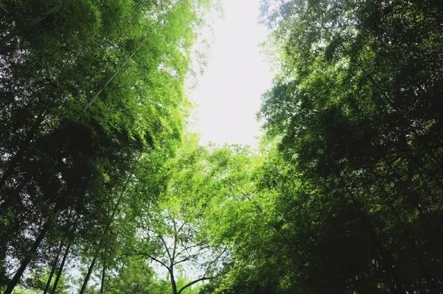 周末陪家人游大自然,周末陪家人到郊外游玩