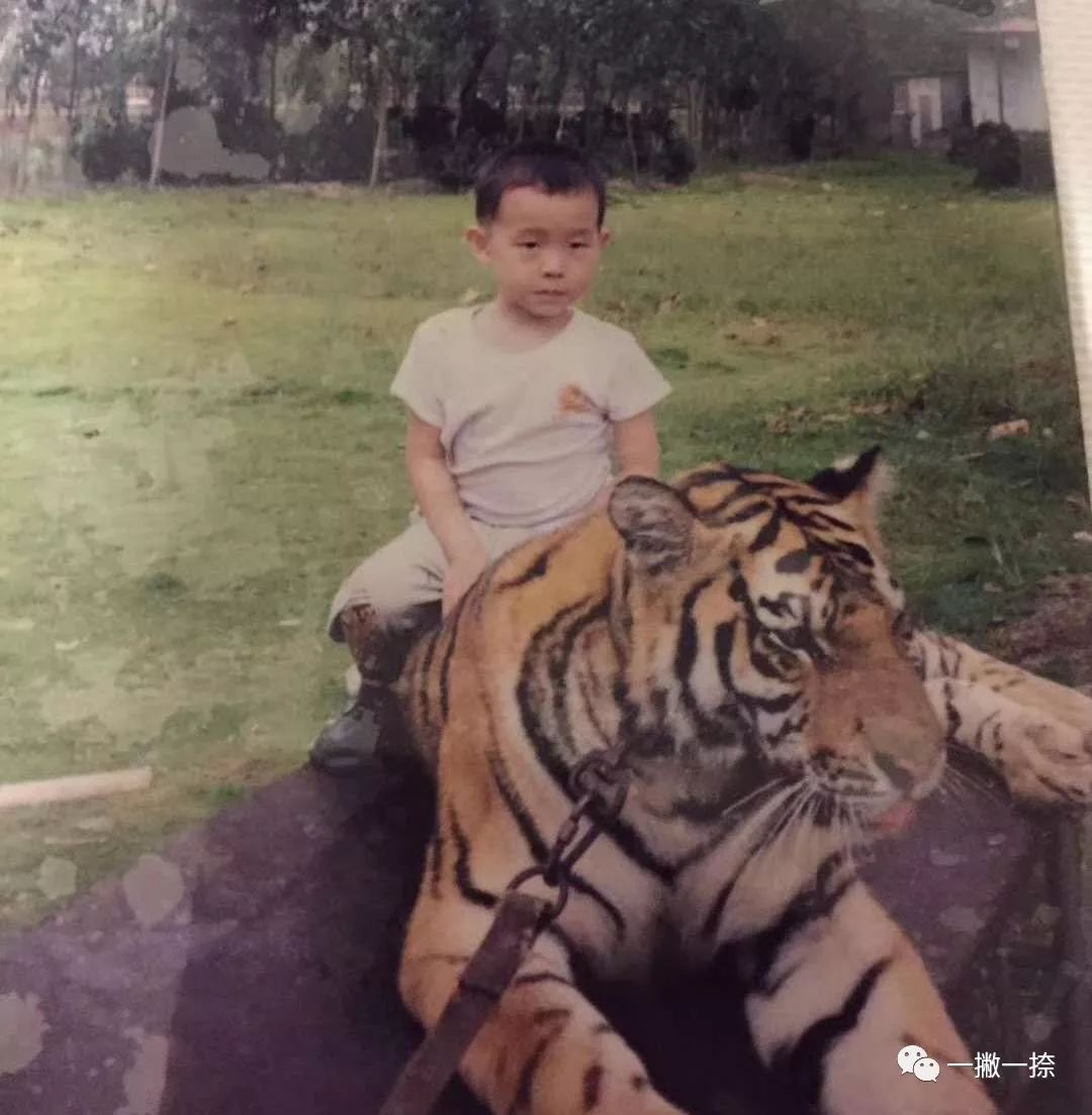 “别真替他保密，他就是想让你替他说”——24条对童年的隔空喊话