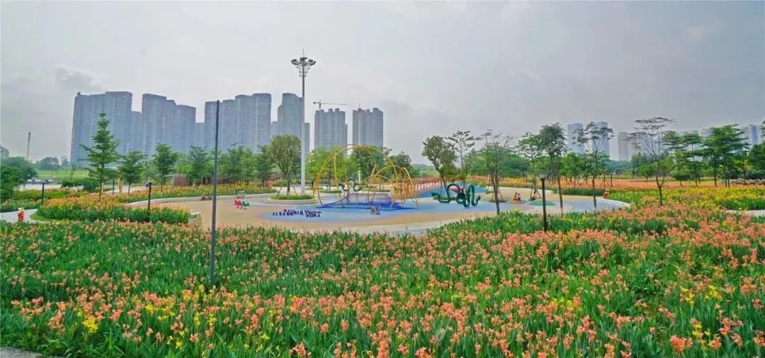 佛山南海新港,再见佛山的视频