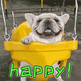 东莞塘厦最近的大型活动,最近东莞塘厦有什么活动