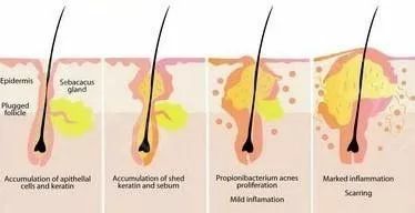 21天测评,21天真实测评
