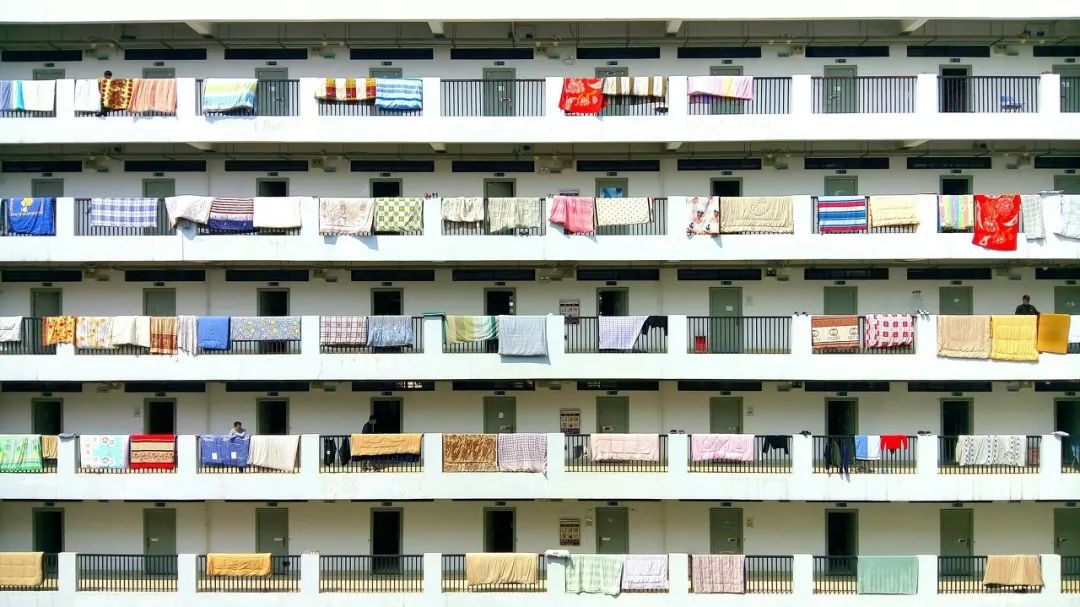 裤子袜子能放在一起吗,袜子裤头能一起在洗衣机洗吗