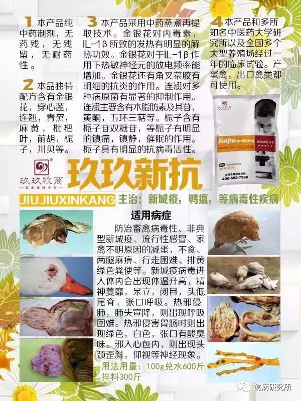 小鹅瘟发病视频,小鹅苗近期生病是什么原因