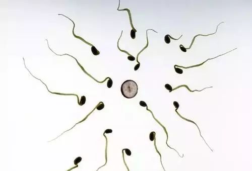 常吸烟喝酒的人阳性几率,常抽烟喝酒会怎么样