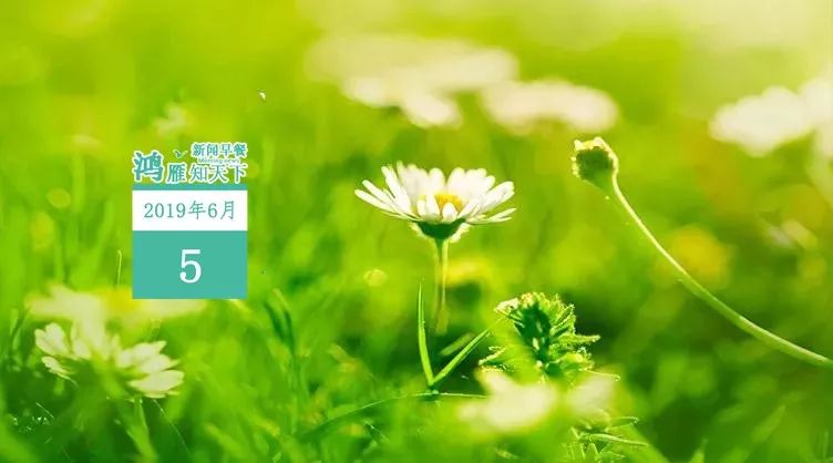 鸿雁知天下视频,新闻早知道鸿雁知天下