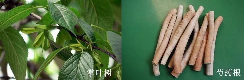 防水防汗防晒防脱妆的气垫,防汗防水不脱妆持久气垫
